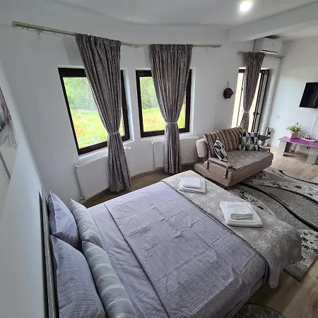La Vila Gazde/Camere de închiriat *
