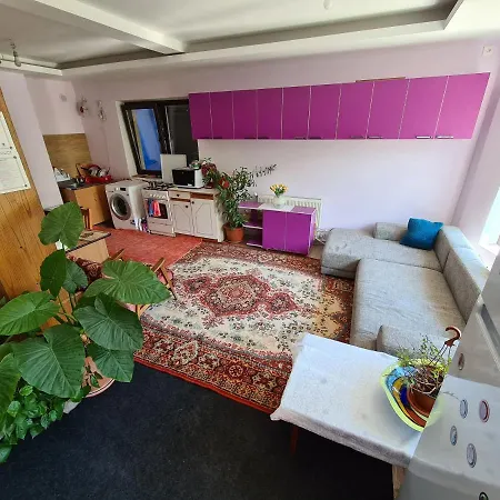 Gazde/Camere de închiriat La Vila Constanţa