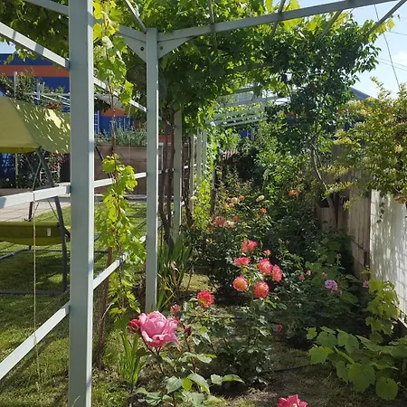 La Vila Gazde/Camere de închiriat *